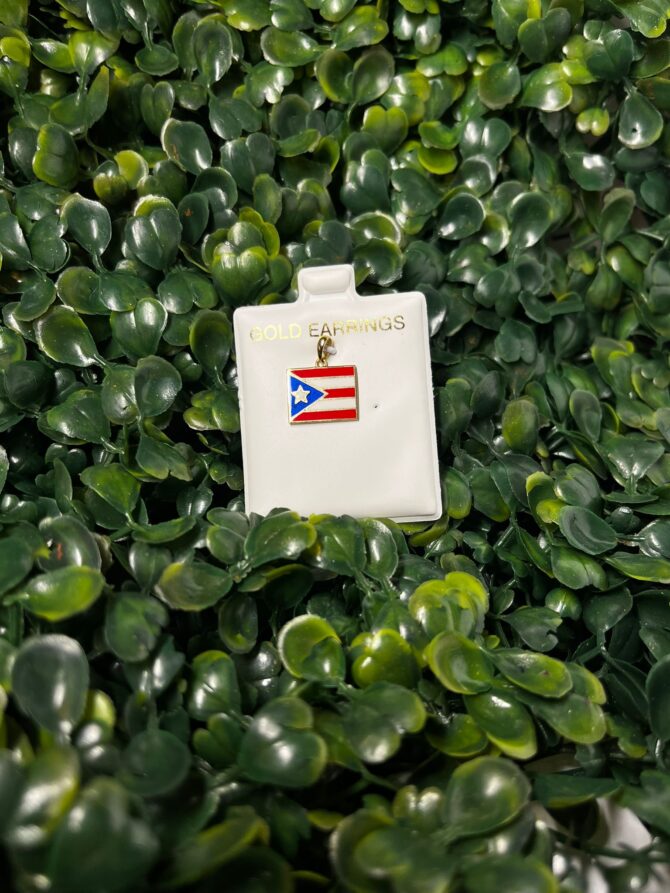 Amaury: Dije de la bandera de Puerto Rico en oro