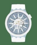 SWATCH WHICE
