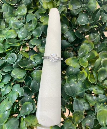 SUSPIRIA ELR1671-029